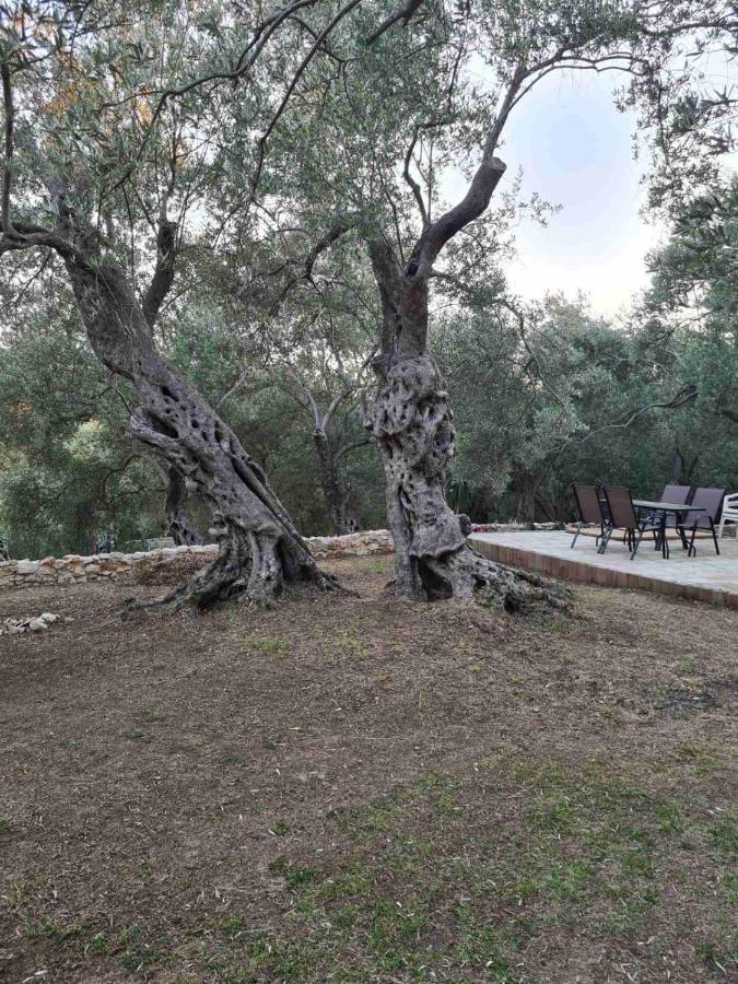 Olea Cottage Ulcinj Extérieur photo