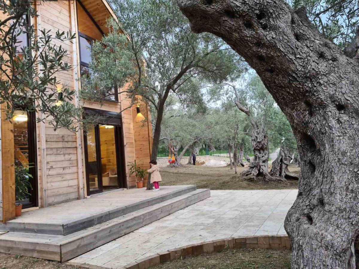 Olea Cottage Ulcinj Extérieur photo