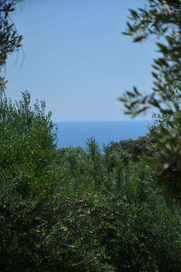 Olea Cottage Ulcinj Extérieur photo