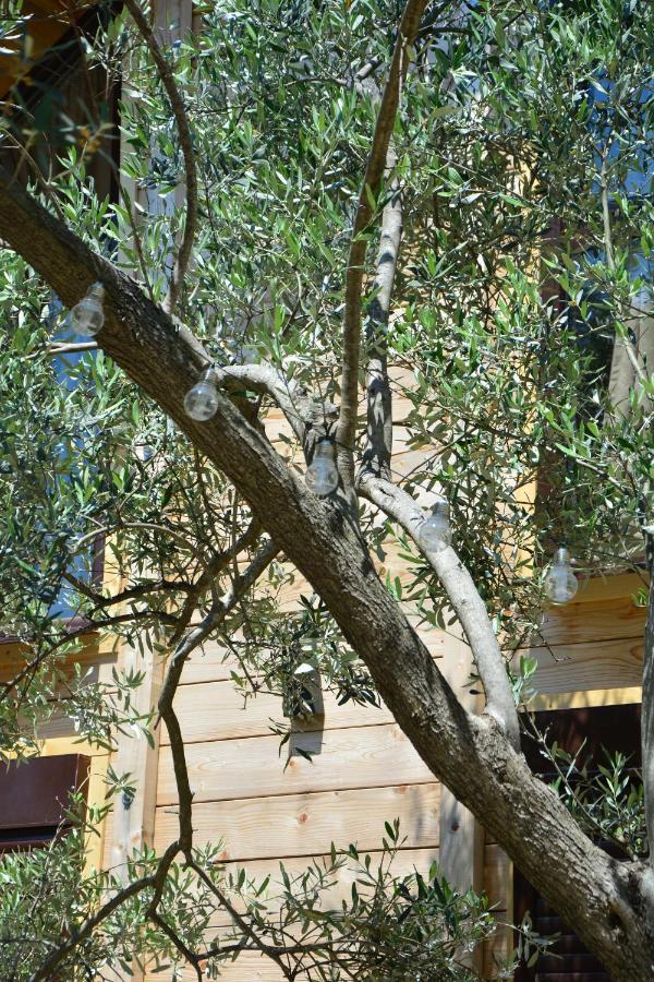 Olea Cottage Ulcinj Extérieur photo