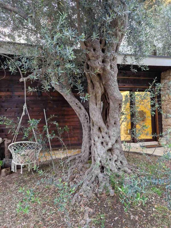Olea Cottage Ulcinj Extérieur photo
